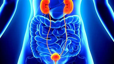 Лечение рака органов мочеполовой системы (лечение онкоурологии)